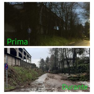 MESSA IN SICUREZZA VIA PIETRO MICCA